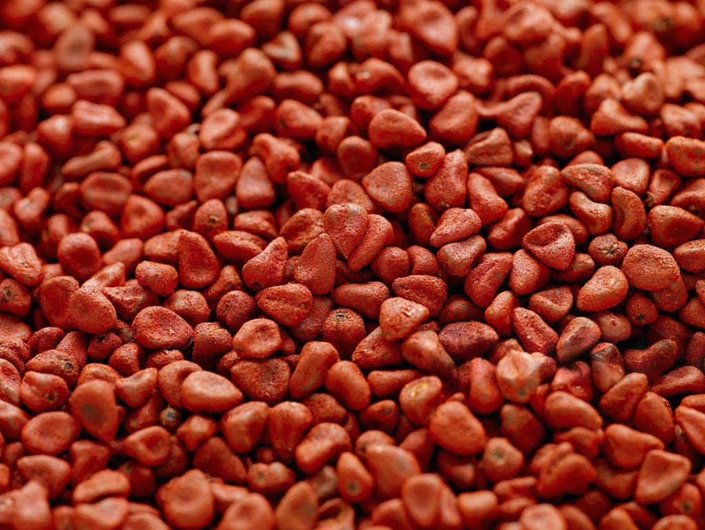 Graines d'annatto roucou Afrique de l'Ouest